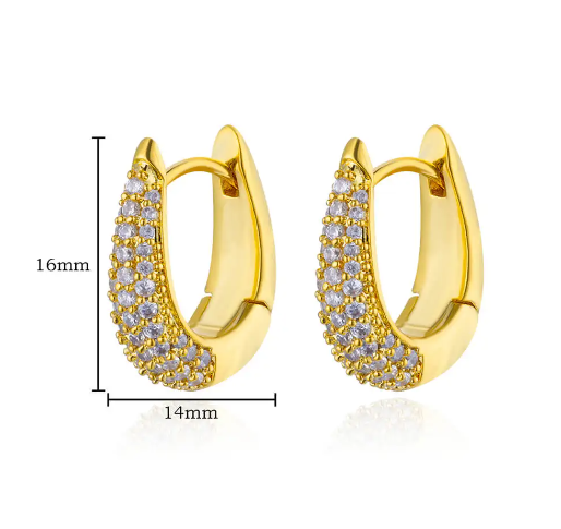 Eleganza Earrings